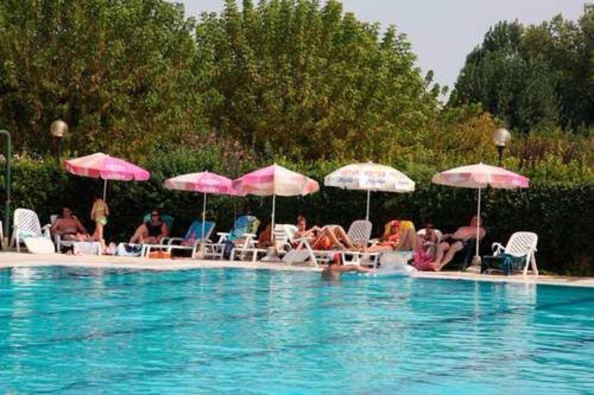 Campi